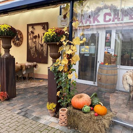 Ferienwohnungen Park Cafe Am Kurpark Bernkastel-Kues Zewnętrze zdjęcie